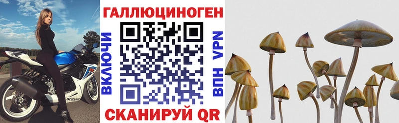 Галлюциногенные грибы MAGIC MUSHROOMS  Купить  Бор 